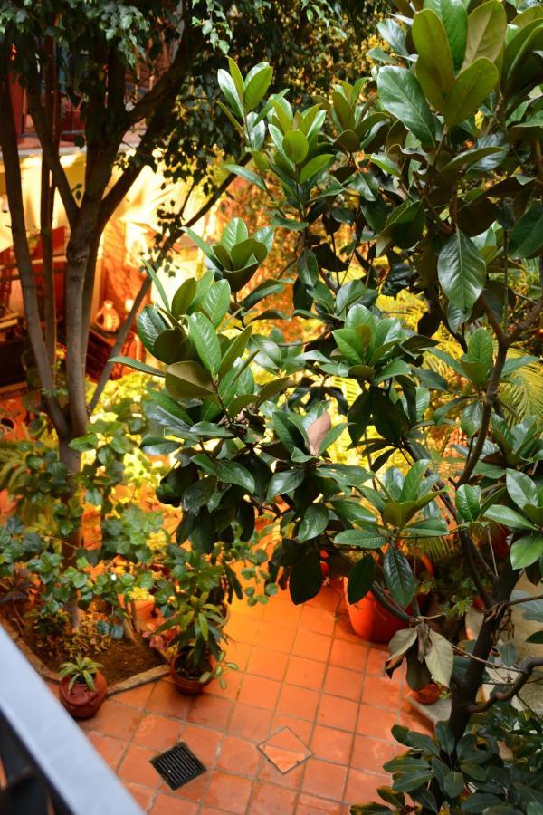 Hotel Casa Guiva Oaxaca Εξωτερικό φωτογραφία