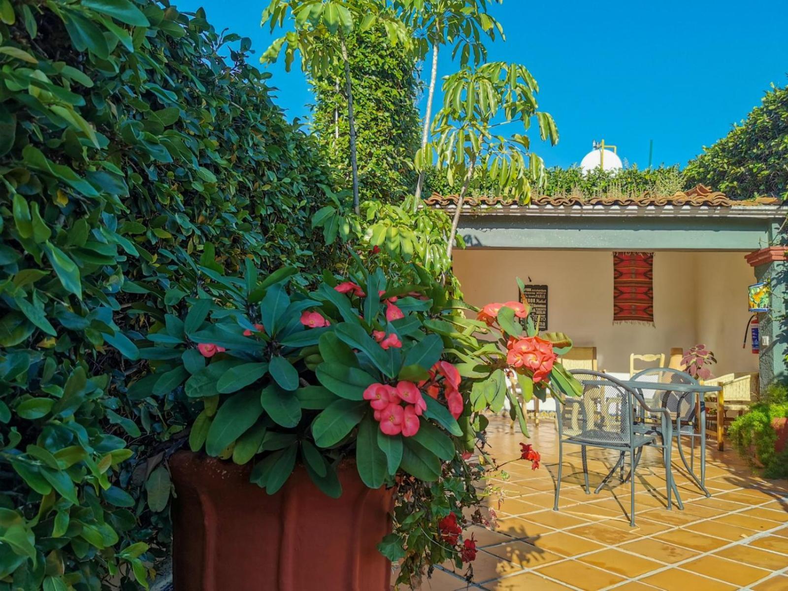 Hotel Casa Guiva Oaxaca Εξωτερικό φωτογραφία